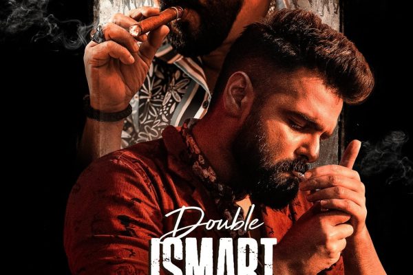 Poster for the movie "Double iSmart"