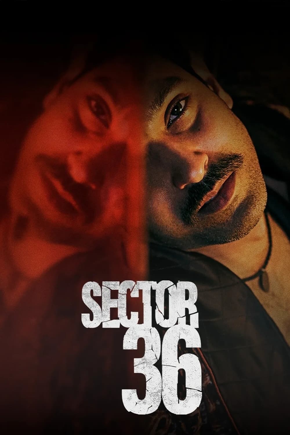 Poster for the movie "Sector 36"